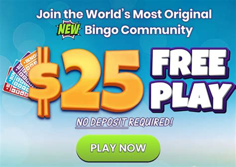bingo village casino|bingo village no deposit codes.